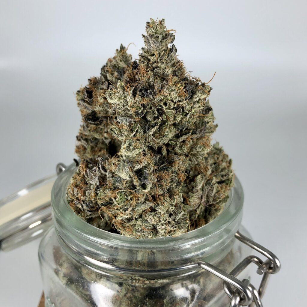 pink kush