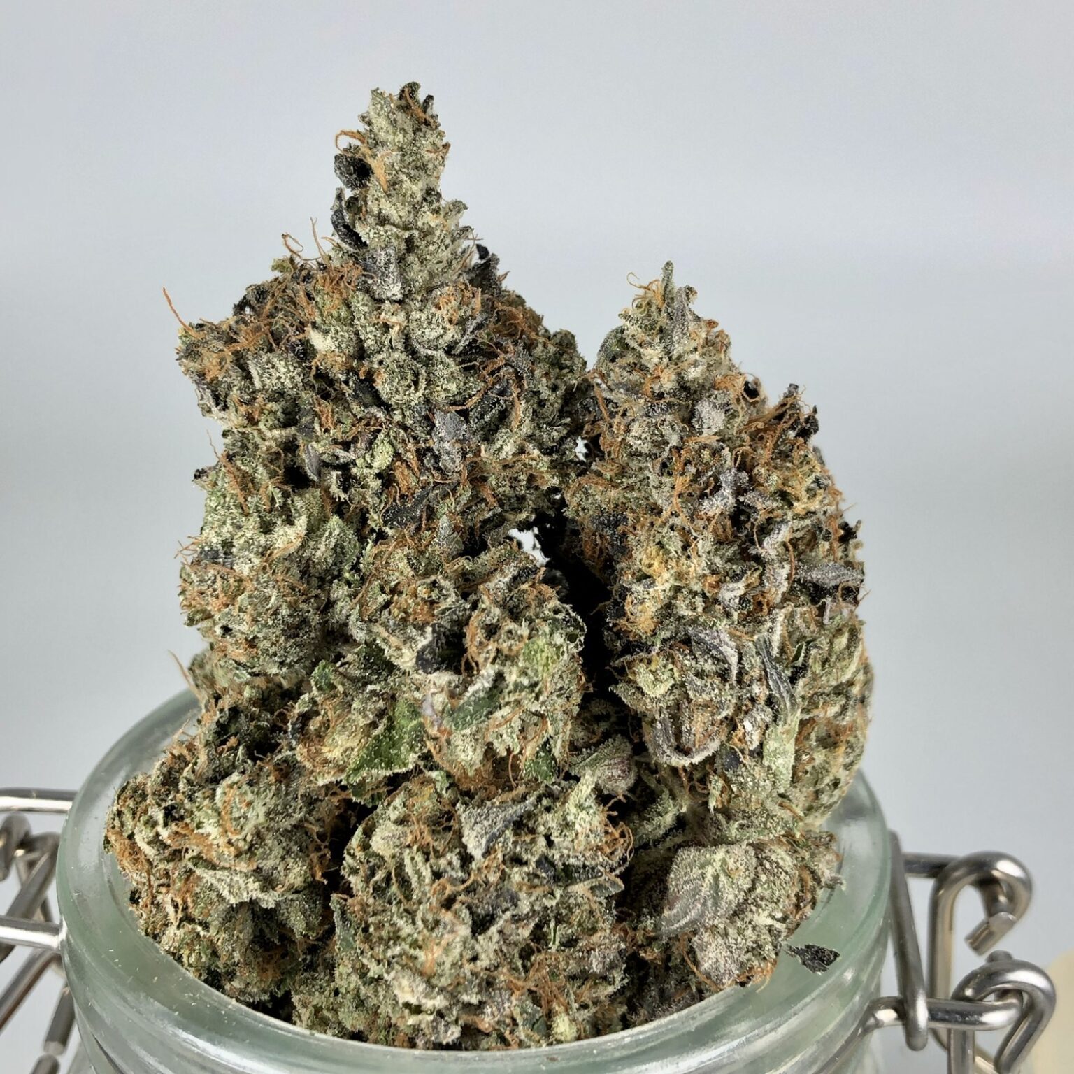 pink kush2